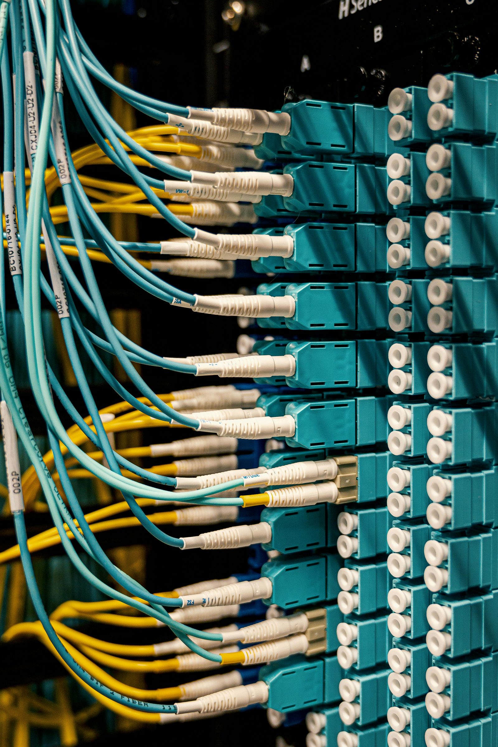 Netzwerkanschluss und Kabel als Symbol für Internetkosten